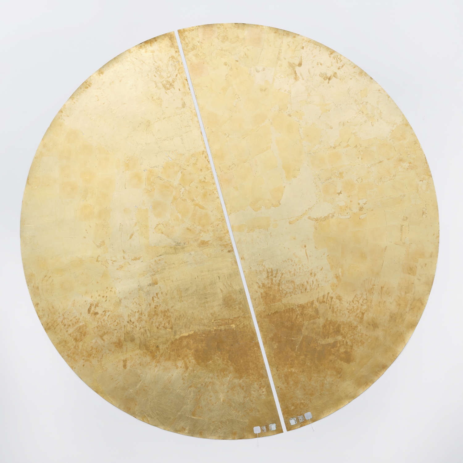 Whit Forrester, The Electric Universe Theory